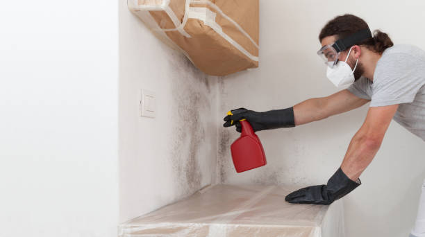 Professional Mold Testing technician working in Broadway, VA