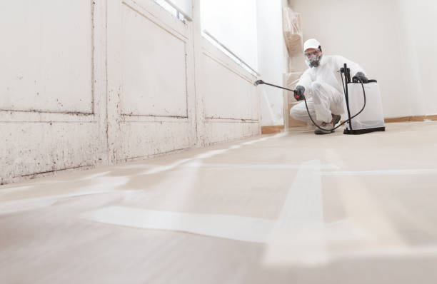 24/7 Emergency Mold Testing experts in Broadway, VA