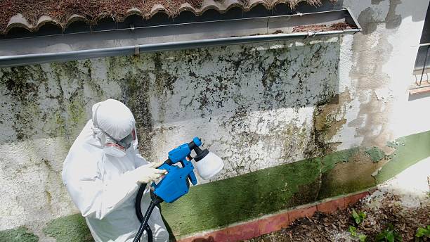 Top rated local Mold Testing specialists in Broadway, VA